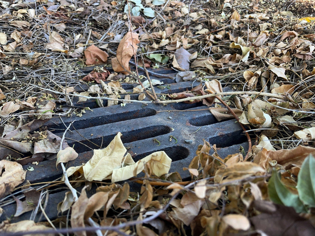 Why Do Drains Back Up During Heavy Rain & How Can You Prevent It?