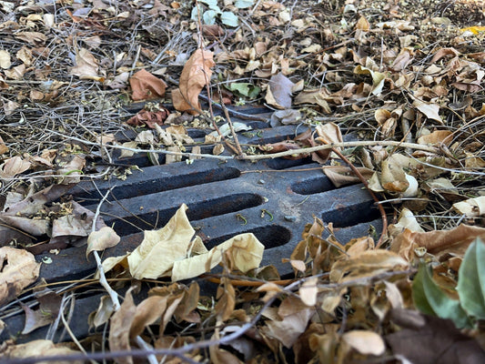 Why Do Drains Back Up During Heavy Rain & How Can You Prevent It?